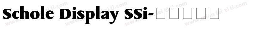 Schole Display SSi字体转换